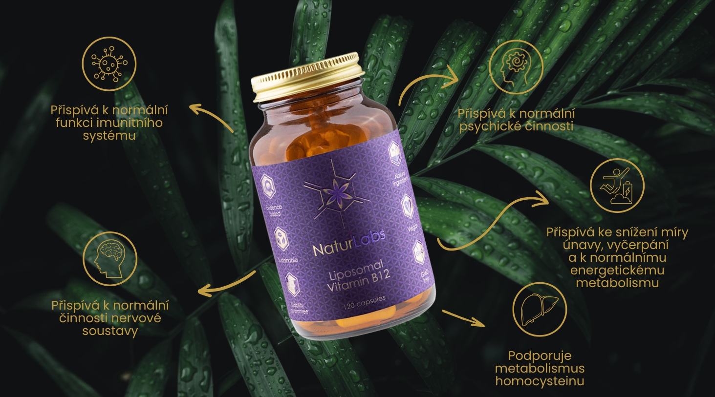 Vitamin B12 liposomální1